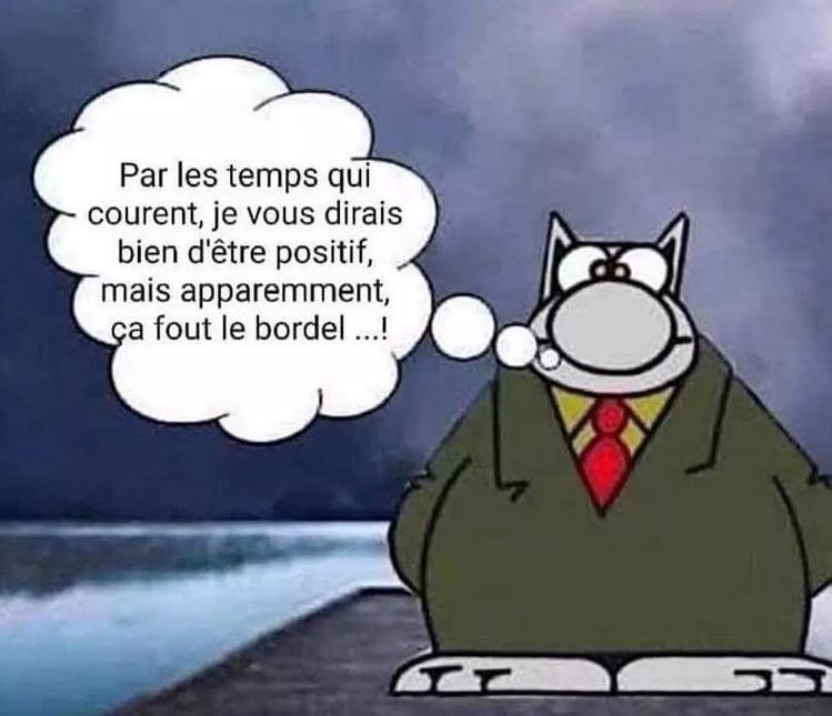 positif.jpg